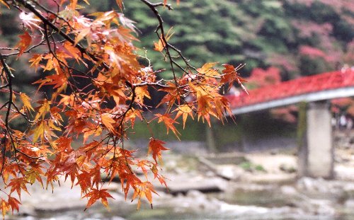 Photo taken at Kourankei